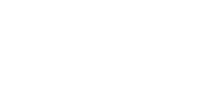 Bristle blaster logo white